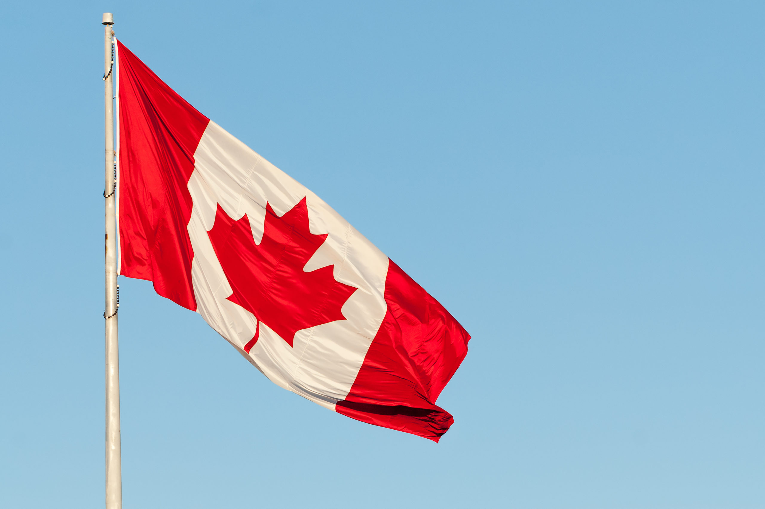 The Canadian flag waves in a breeze against a clear blue sky.