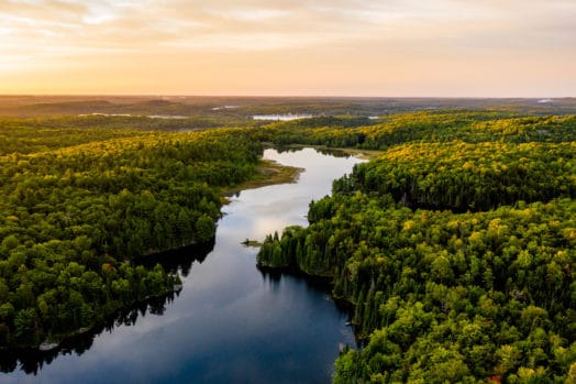 Aerial view of a river running through a forest in Canada