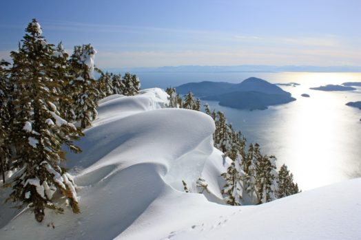 Canada winter landscape