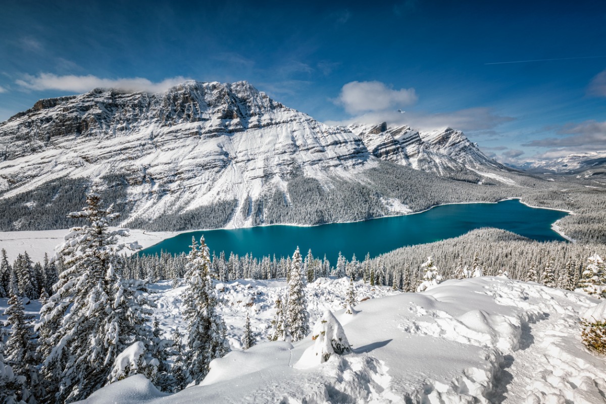 Banff winter landscape