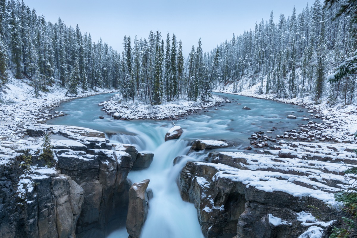 Landscape of Jasper, snow-covered forest, an island surrounded by a stream that tumbles into a waterfall