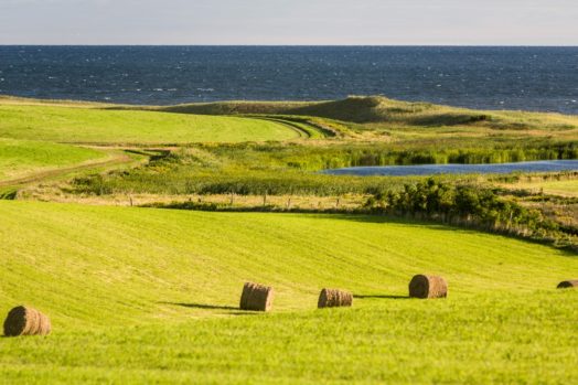 Farm with hay bales on PEI