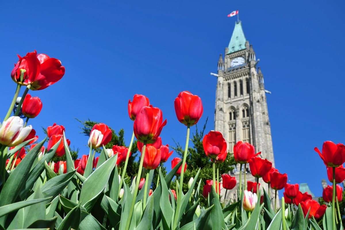 Canada's Prime Minister creates task force to address immigration delays - Vimarsana News