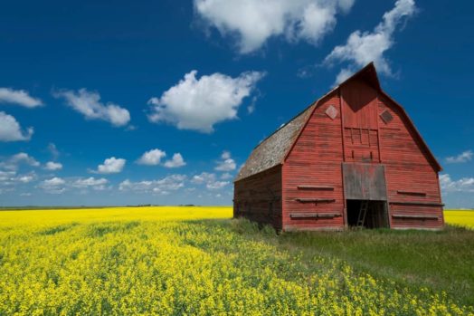 Saskatchewan Hosted Biggest PNP Draw of 2022