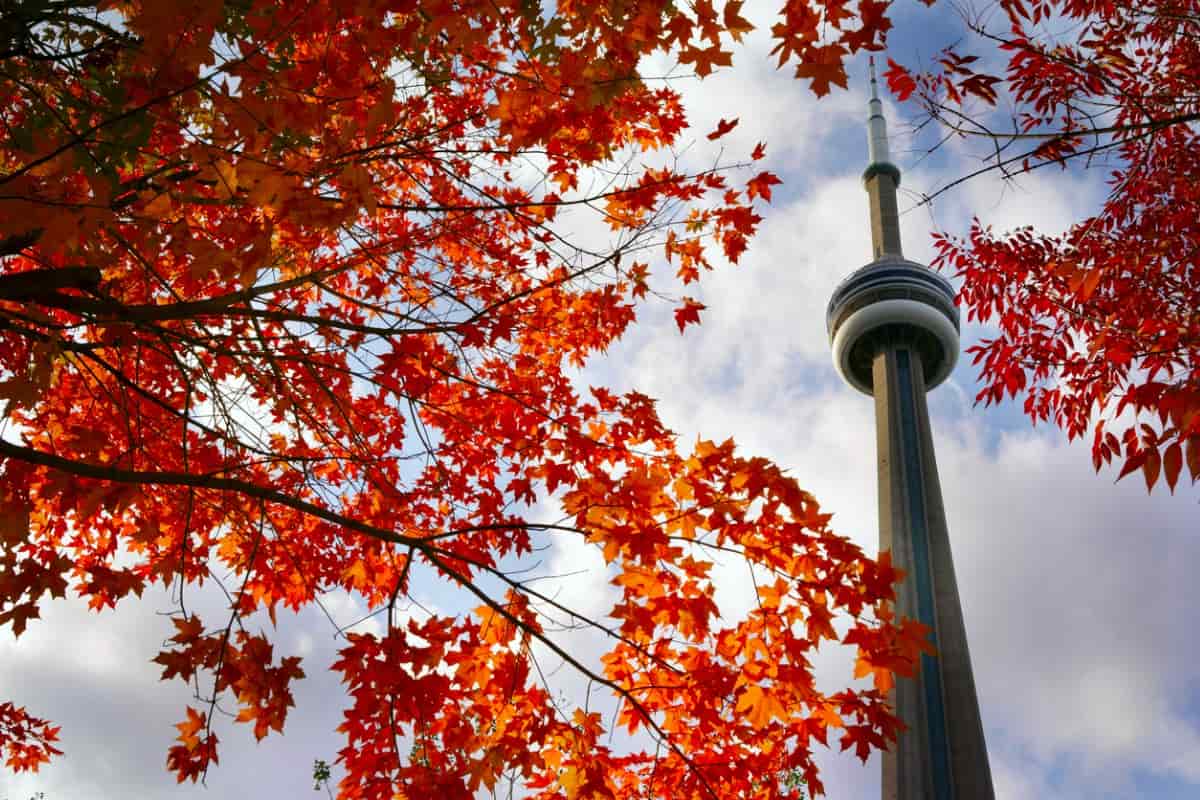 Five Canadian cities are among the best places to live in the world