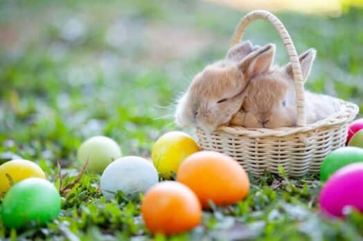 Lindo conejito durmiendo en la canasta y huevos de pascua en el prado