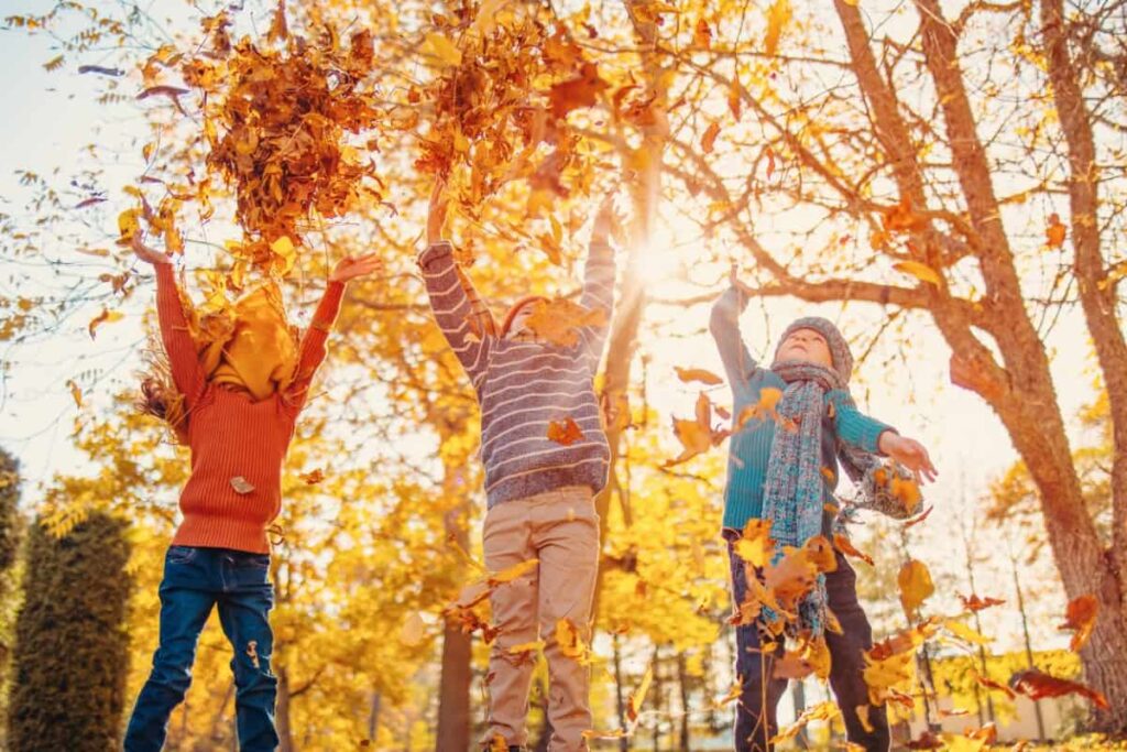 Children playing together in colourful natural park on autumn day