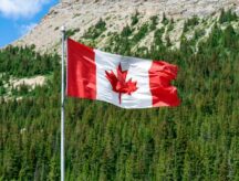 Canadian flag with pine tree forest, Banff, Canada