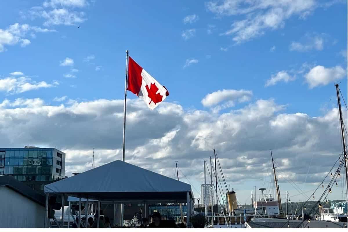 Porno gratis diario español