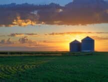 IRCC has issued ITAs in the latest Express Entry draw;