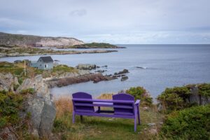 Purple benches overlooking the sea in the town of Keels, Newfoundland