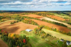 An aerial view of farm fields in PEI on a sunny day.