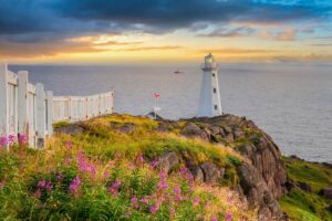 A lighthouse in St.John's at sunrise, with wildflowers and a Canadian flag.