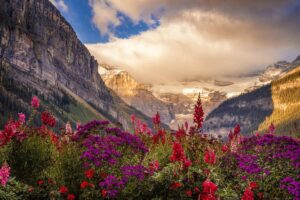 A picture of a sunset in a valley on a summer evening
