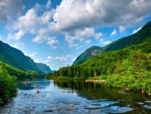 A group of kayakers on the river.
