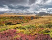 The Richardson Mountains in the Northwest Territories on a cloudy autumn morning.