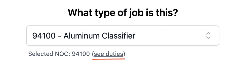A screenshot of the work experience form. 