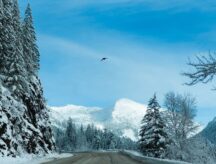 A shot of a road, coniferous trees covered in snow, and mountains in the distance against a blue sky in British Columbia.