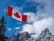 A Canadian flag waving in the wind, with a coniferous tree on its left and snow-capped mountains visible in the back.