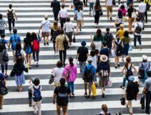 A large crowd of people (back to the camera) walking across a large zebra crossing.