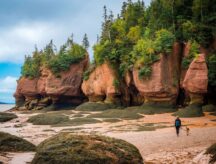 Woman walking her dog at low tide at Hopewell Rocks Provincial Park in New Brunswick on a semi-cloudy day.