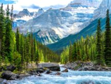 A view of Banff National park.