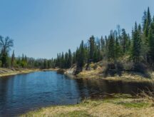 A provincial park in Manitoba during early spring