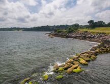 One in four New Englanders may qualify for Canadian citizenship under a new law expanding citizenship by descent.