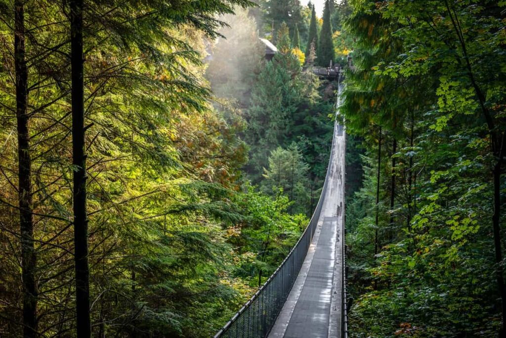 A picture of a hanging bridge in North Vancouver