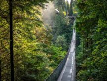 A picture of a hanging bridge in North Vancouver