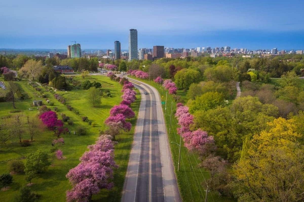 Ontario issues over 2,000 invitations to foreign workers, international students, and in-demand workers in latest regional draws