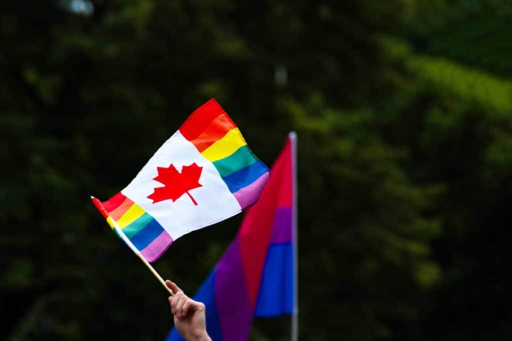A modifed Canadian flag featuring the pride colours waved with the backdrop of Canadian trees.