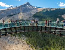A group of tourists traverse the Columbia skywalk in Jasper National Park.