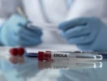 Worker of center for disease control describing effects of ebola virus mutation