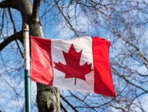 Canada issues monthly updates on the immigration applications in its inventory