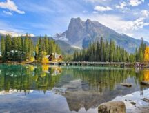 Emerald Lake with pine trees and mountain reflections in Yoho National Park, Canada, under a clear blue sky.