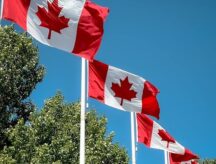 A row of Canadian flags.