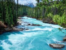 The Kicking Horse River in Yoho National Park, British Columbia, Canada.