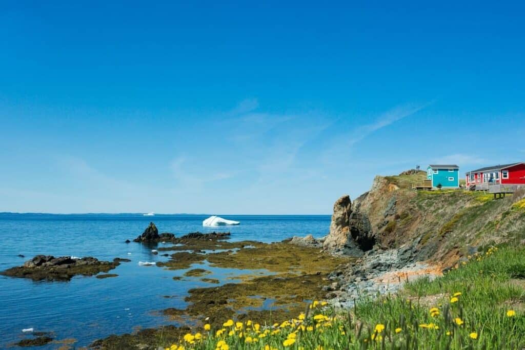 A rocky coastline in Newfoundland and Labrador, with colourful houses on a bluff.