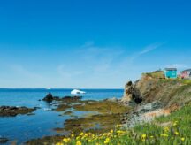 A rocky coastline in Newfoundland and Labrador, with colourful houses on a bluff.