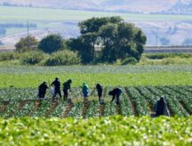 The latest enforcement data on Canada’s Temporary Foreign Worker Program (TFWP) show an increase in employer non-compliance.