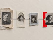 A graphical depiction of a Canadian lineage