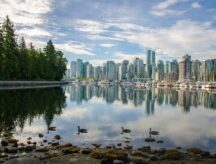 Cloud reflections and geese on the water with downtown Vancouver in the background, Stanley Park, Vancouver, BC.