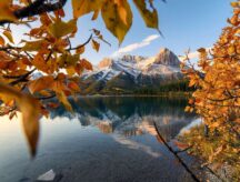 Mount Lawrence Grassi in Canmore, Alberta, in the fall.